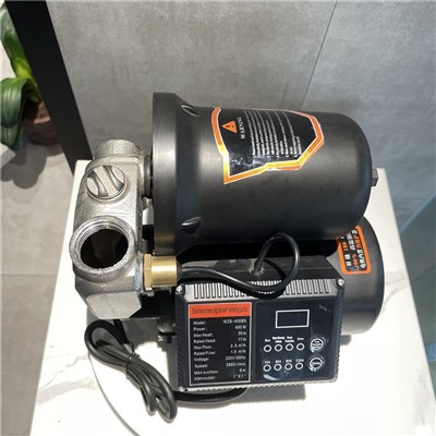 Peripheral Self-Priming Pumps